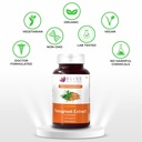 bliss-welness-pure-fenugreek-extract-wit-612+BQt8U-L.jpg