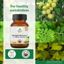 a-tata-product-organic-india-weight-bala-71t-ndzU7VL.jpg