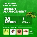 weight-balance-18-ayurvedic-herbs-for-we-61UbZZ2nJBL.jpg