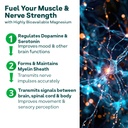 oziva-magnesium-triple-complex-1100mg-mu-713oo9kQd4L.jpg