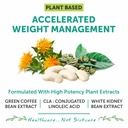 bliss-welness-360-weight-management-50-g-81bkQipy7tL.jpg