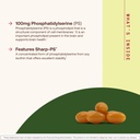 jarrow-formulas-ps100-phosphatidylserine-71PQZ4cw3GL.jpg