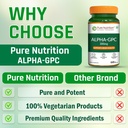 pure-nutrition-alpha-gpc-300mg-with-l-gl-71iYShXnUtL.jpg