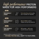 ace-blend-intense-30g-plant-protein-supp-71+0w67XYdL.jpg