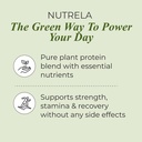 nutrela-green-plant-protein-powder-500g--51we7O+ny7L.jpg