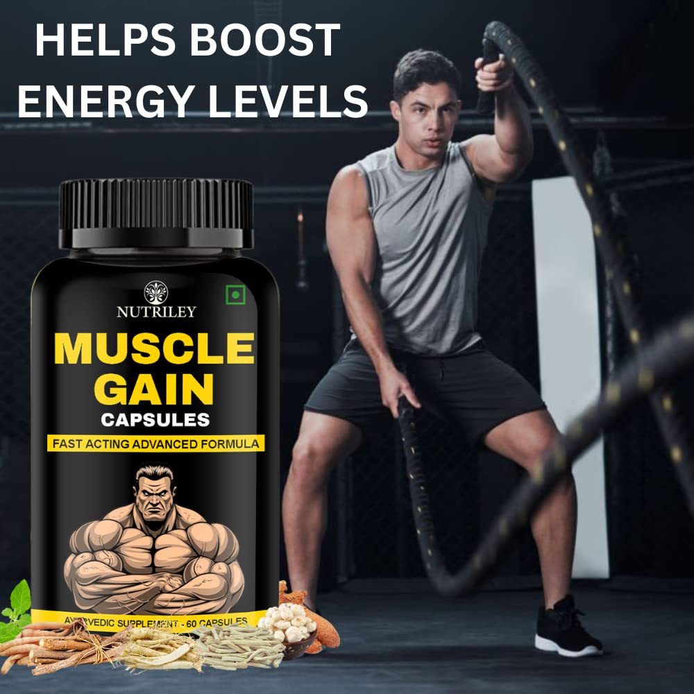 nutriley-muscle-gainer-protein-supplemen-610LolT5PuL.jpg