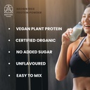 sattvic-foods-brown-rice-protein-powder--71LdLsYvROL.jpg