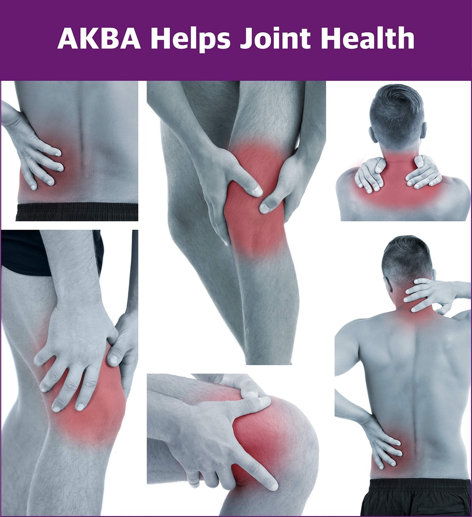 healthyhey-nutrition-akba-with-85-boswel-81pS9jHD9QL.jpg