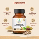 organic-india-sat-isabgol-capsules-60-ca-81tm43Qh8sL.jpg