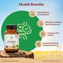 organic-india-sat-isabgol-capsules-60-ca-81Bwp1IcxKL.jpg