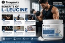 trexgenics-l-leucine-pharmaceutical-usp--71LCqjcjaLL.jpg