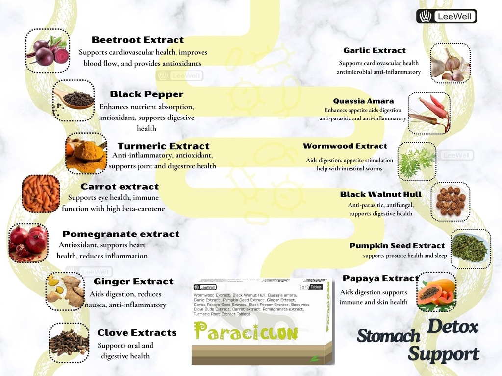 paraciclon-ayurvedic-gut-cleanse-detox-w-81rIBirH34L.jpg