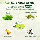 avg-amla-vital-green-1000ml-fresh-green--71Au+qLB82L.jpg