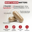 smarter-aging-capsules-for-women-men-ant-71AXNM-9+vL.jpg