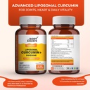 the-body-reserve-liposomal-curcumin-caps-71e9TQRjpcL.jpg