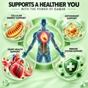 hxn-coq10-supplement-300mg-high-absorpti-717P1PjIshL.jpg