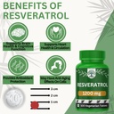 sylara-trans-resveratrol-99-9-1200-mg-wi-71AtS4kwl8L.jpg