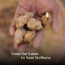 tatvahills-superfoods-lakadong-turmeric--61ezC0xdsWL.jpg