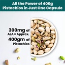 vlado-s-himalayan-organics-alpha-lipoic--71udLlywb-L.jpg