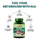 vlado-s-himalayan-organics-alpha-lipoic--711JZU5a37L.jpg