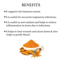 bixa-botanical-turmeric-forte-450mg-immu-61o0TdsyuhL.jpg