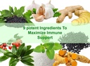 immune-support-booster---organic-elderbe-4.jpg
