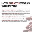 puricyn-by-purple-life-sciences-antioxid-81GT4MhBxIL.jpg