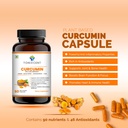 healthy-aging-pair-curcumin-shilajit-cap-81AKd-mbotL.jpg