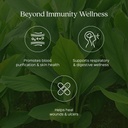 haldi-powder-200g-supports-immunity-supp-61scamm2+xL.jpg