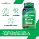 nourishvitals-curcumin-95-curcuminoids-5-61sFHrBgmGL.jpg
