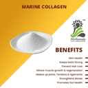herbaveda-hydrolyzed-marine-collagen-pow-61j+nKZF+zL.jpg