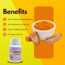 curcumin-traditional-immune-support-anti-61jBqyTOPbL.jpg
