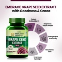 vlado-s-himalayan-organics-grape-seed-ex-61iVTVMidXL.jpg