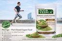 moringa-powder-100g-nutritional-suppleme-71X4GLVLBgL.jpg