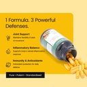 anti-inflammation-detox-combo-curcumin-p-61bP7AptgqL.jpg