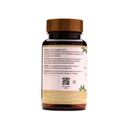 ayurleaf-herbals-trikatu-capsules-for-go-71KBVRAAI8L.jpg