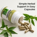 nilavembu-herbal-powder-capsules-500mg-1-61Gy7yygNsL.jpg