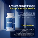 dive-daily-multivitamin-for-men-daily-me-71QNjkJtwfL.jpg