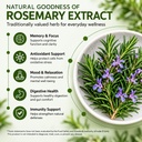 rosemary-leaf-extract-veg-capsules-herba-71qvDnTVtYL.jpg