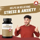 ashwagandha-tablets-with-5-withanolides--719nvnrcOBL.jpg