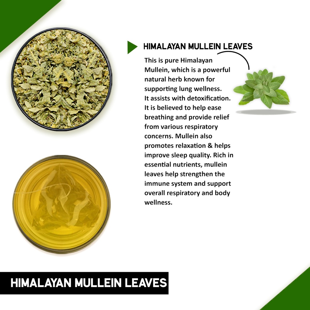 teacurry-himalayan-mullein-tea-50-grams--81rPLmQ6A3L.jpg