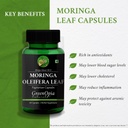 garlic-oil-moringa-oleifera-powder-welln-61k3vWAxvuL.jpg