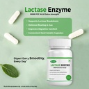 lactase-enzyme-90-vegetarian-capsules-90-61WkofZ6ynL.jpg