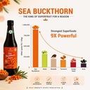 sea-buckthorn-juice-500ml-sugar-free-jui-61fUGSowinL.jpg