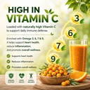 arthyum-sea-buckthorn-juice-pulp-concent-712kg+V2EcL.jpg