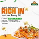 biosash-sea-buckthorn-juice-with-turmeri-71LcZR7+yYL.jpg