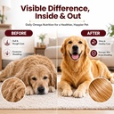 fur-radiance-omega-369-for-dogs-cats-220-81KmP1qKO4L.jpg
