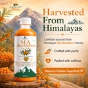 rahulife-naturals-sea-buckthorn-juice-50-81aofbdKd4L.jpg