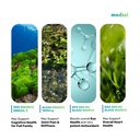 algae-rich-omega-3-vegan-capsules-300mg--81bvcekjlvL.jpg
