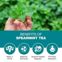 spearmint-tea-hormonal-imbalance-weight--61F09eP9BtL.jpg